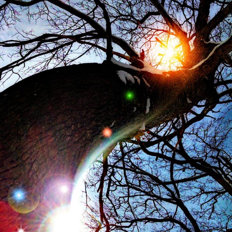 treee